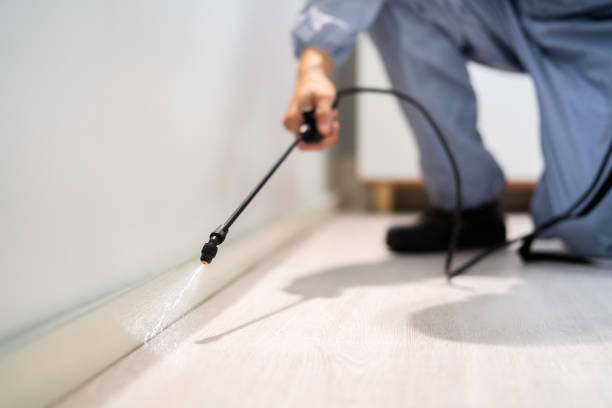 Licensed Termite Control service in Flemington, GA - Nex Pest Control