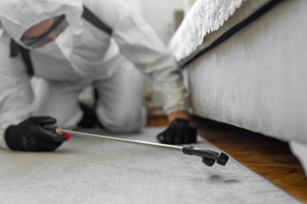 Professional Termite Control technician working in Flemington, GA