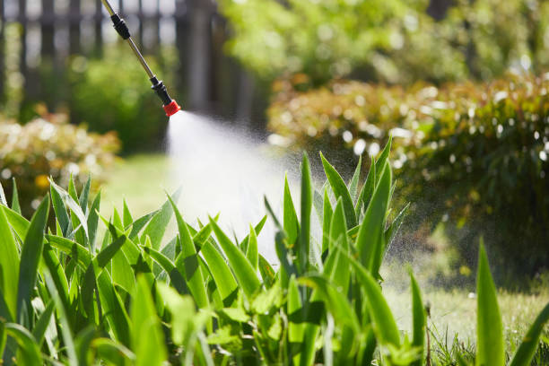 24/7 Emergency Termite Control experts in Flemington, GA
