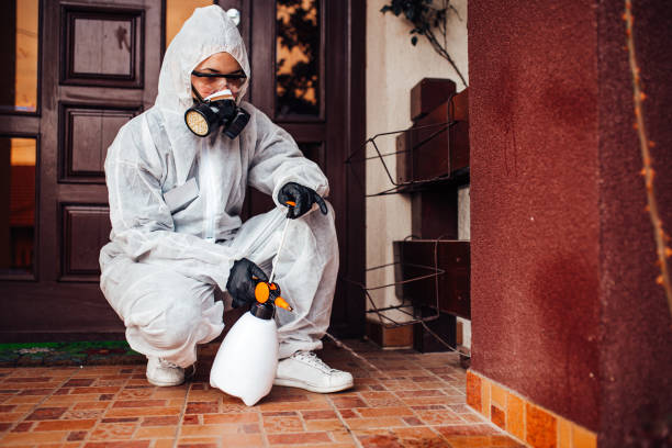 Reliable Termite Control contractor in Flemington, GA by Nex Pest Control