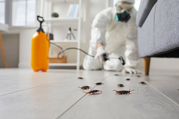 Affordable Termite Control solutions in Flemington, GA